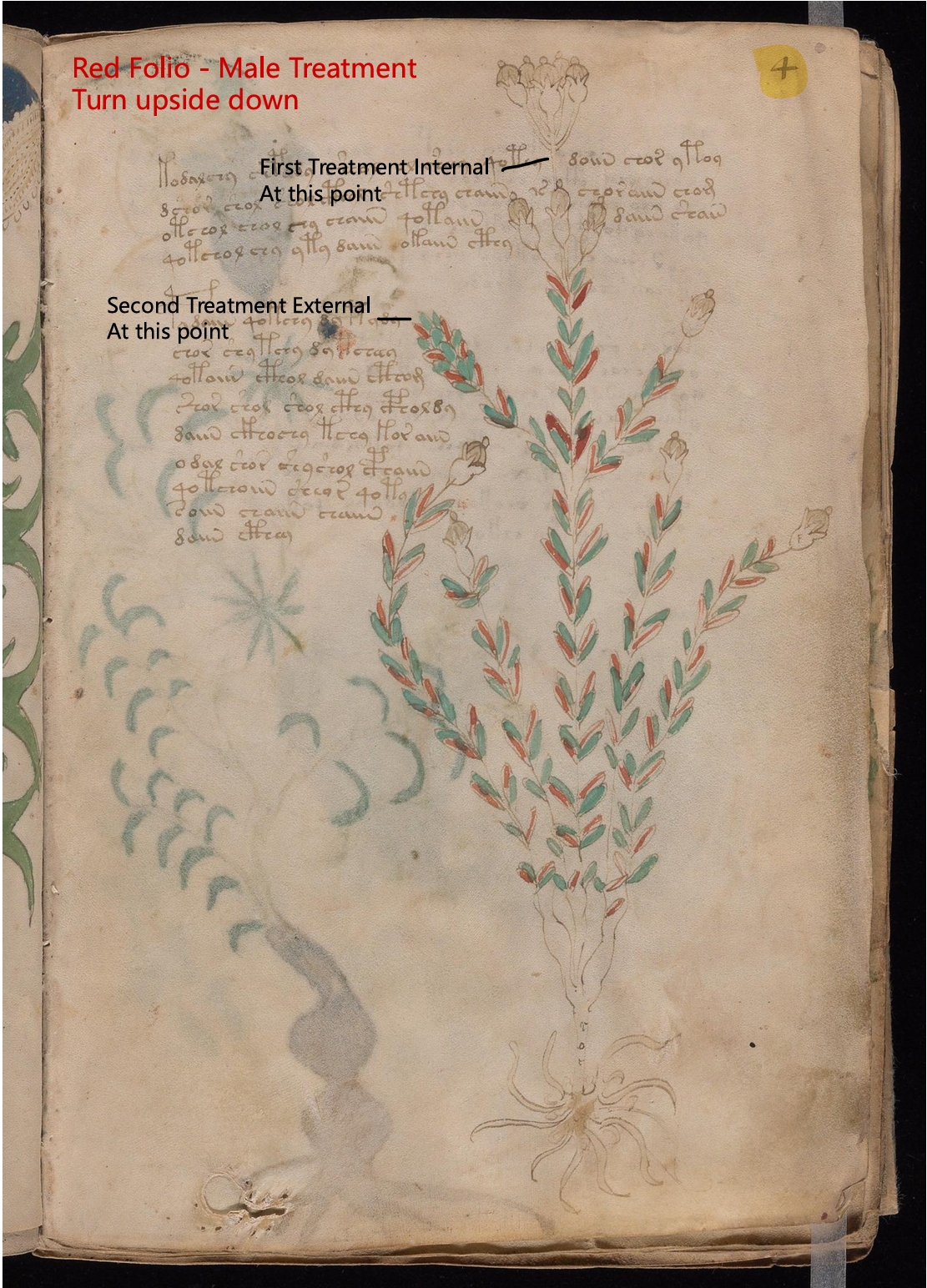 Secondary labelled diagram of Folio 4r